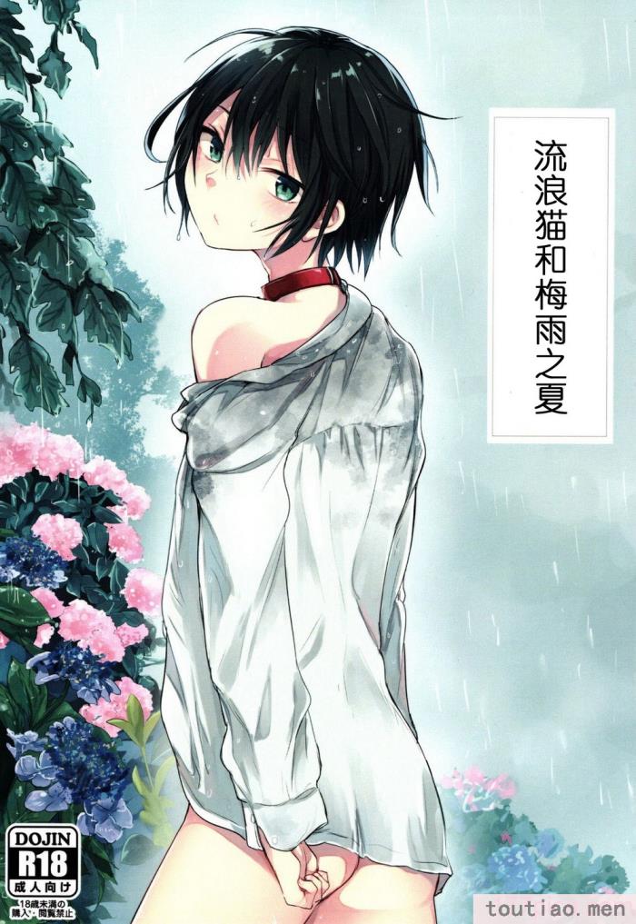 〈[青色一座 (あおいろ一号)] のらねことレインデイズ [USEDGUMI个人汉化][78P]〉